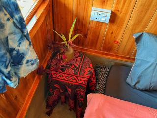 Ya's House - 8