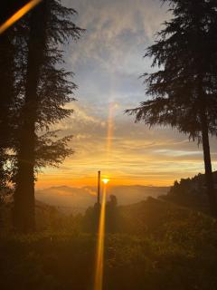 Krishna home stay - 9