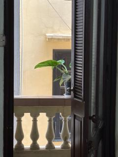 Tropical land little Hanoi homestay - 8