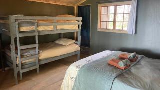 Dargle Forest Lodge - 2