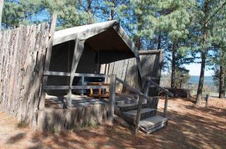 Dargle Forest Lodge - 3