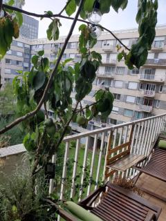 Orangerie de la Défense - Puteaux - 9