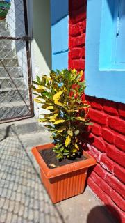 Mukteshwar Darshan - 4