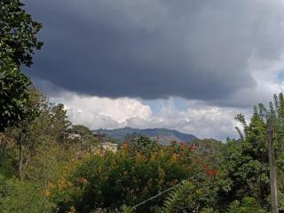 Green Surrounding Homestay Ella - 5