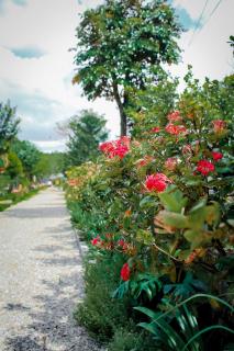 Nam garden lodge - 1