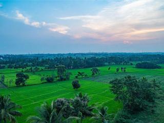 New SK Residency Mysore - 2