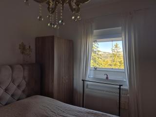 Apartman PineSky - 1
