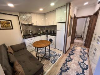 Mutlu flat Terrace - Istanbul - 5