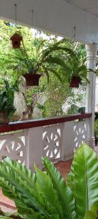 Cozy OMA House - Weligama - 5