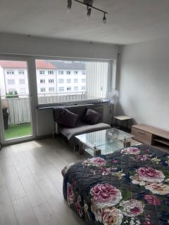 1 Zimmer Wohnung - 4