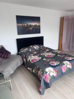 1 Zimmer Wohnung - 1