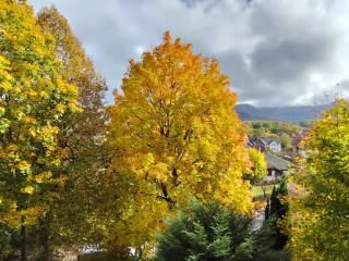 Haus am Wald Radlerrast - 7