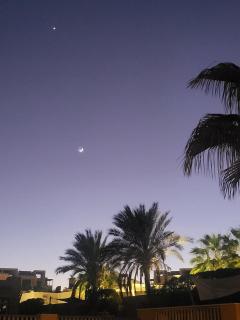 Mangroovy - 2Br Commodious Pool&Gouna views Condo - 8