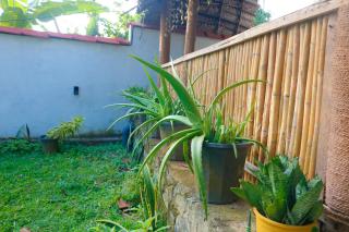 Nature Paradise Midigama - 2