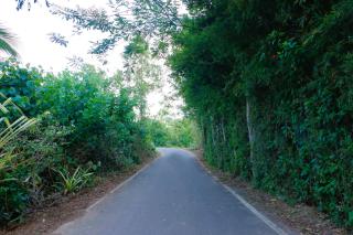 Nature Paradise Midigama - 1