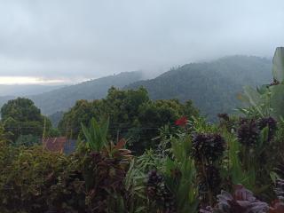 Sunset villa munduk - 9