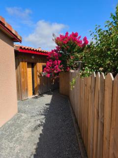 eco nature, gite à la ferme - 8