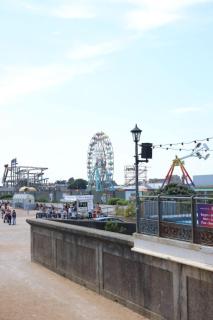 Avondale Flat Guest House - 9