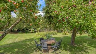 Lambs Lawn - 6