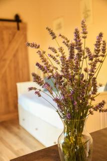 Sablic Apartmani - 2