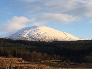 1 Bed Cabin in the Magical Galloway Forest Park - 9