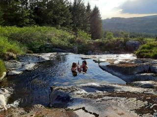 1 Bed Cabin in the Magical Galloway Forest Park - 7