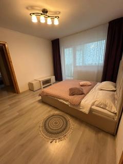 Aparthotel Brasov Neptun - 8