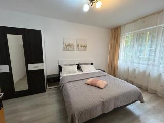 Aparthotel Brasov Neptun - 0