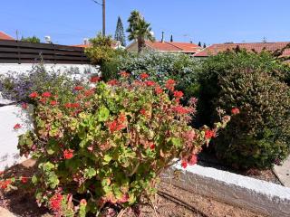 Charming Erimi Villa with Private Pool and Garden View - 1