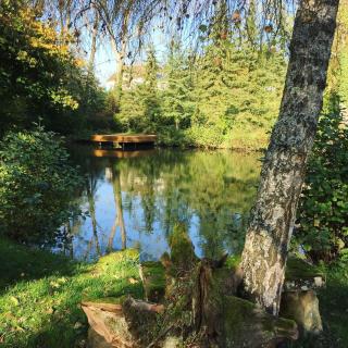 Bel Esprit - Chambres d'hôtes - 8