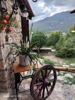 Velanidi Guesthouse - 7