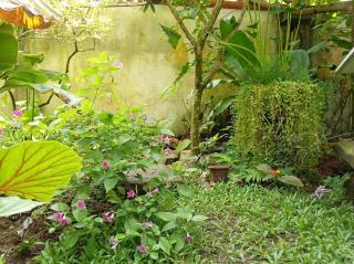Unawatuna villa bird nest- Garden apartment - 1