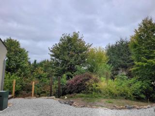Halls Cleave, Woodland Retreat, Moretonhampstead, Dartmoor - 2