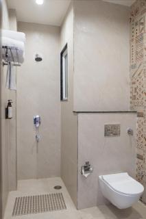 Clarks Inn Express Firozabad - 8