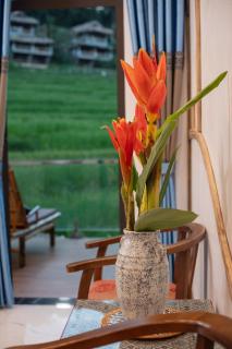 Pu Luong EcoLuxe Resort & Spa - Pu Luong - 2