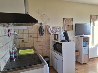 Studio avec vue et wifi with terrace - 5