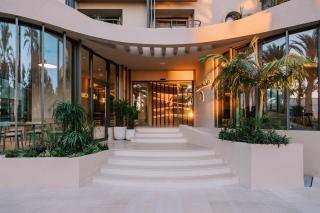 Cento Palme - 2