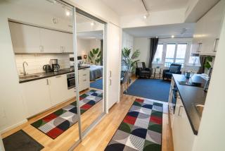 Prime City Location, Spacious Studio Apartment - 6