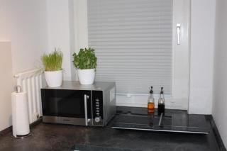 Gehobenes Apartment im Zentrum - 8