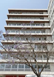 Lisbon Serviced Apartments - Alvalade - Lisbon - 8