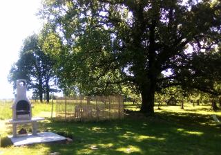 appartement T2 TURSAN - 9