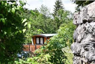 Domaine Jurassic Farm - 3