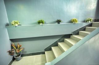 Wander pine homestay - 1