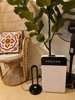 Janet's Condo at Clark - 9