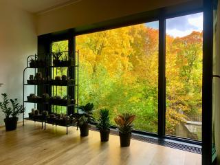ArtFlora KV Premium - 7