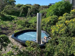 Black Barn At Romansbaai - 8