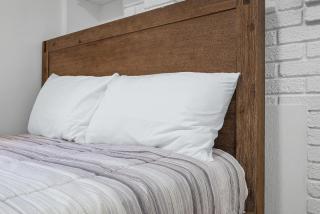 Pittsburgh Shadyside 1E Bright and Modern Private Bedroom with Shared Bathroom - 8