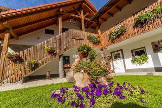 Wanderreithof Heimelsteiner - 8