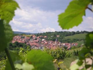 Gite Le Petit Moulin - 2