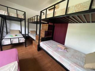 Serenity Resort - 8